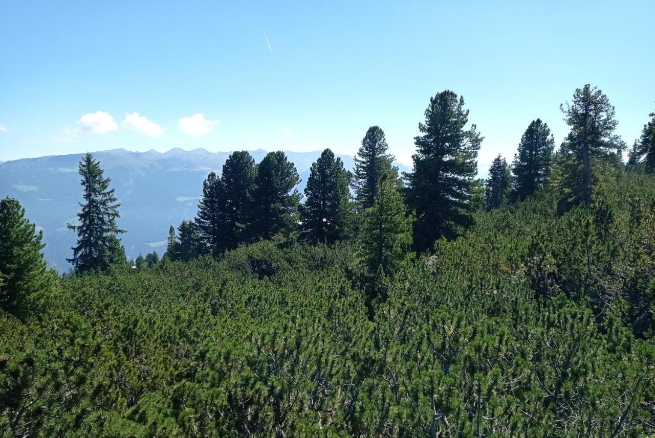 Apart Anna Mayrhofen Luaran gambar