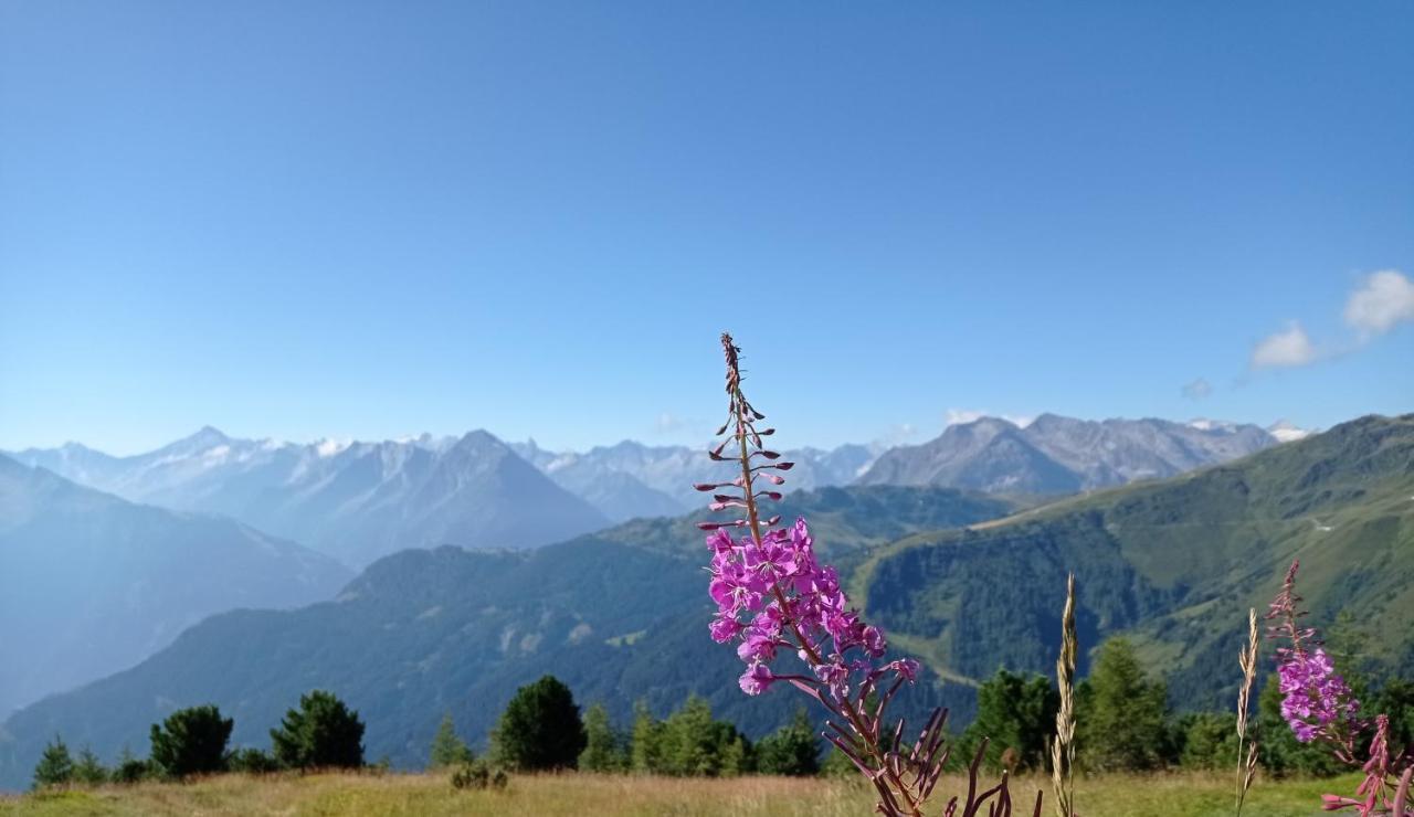 Apart Anna Mayrhofen Luaran gambar